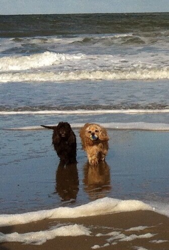 40d4cdb2-3640-4e46-9658-482cf516737b