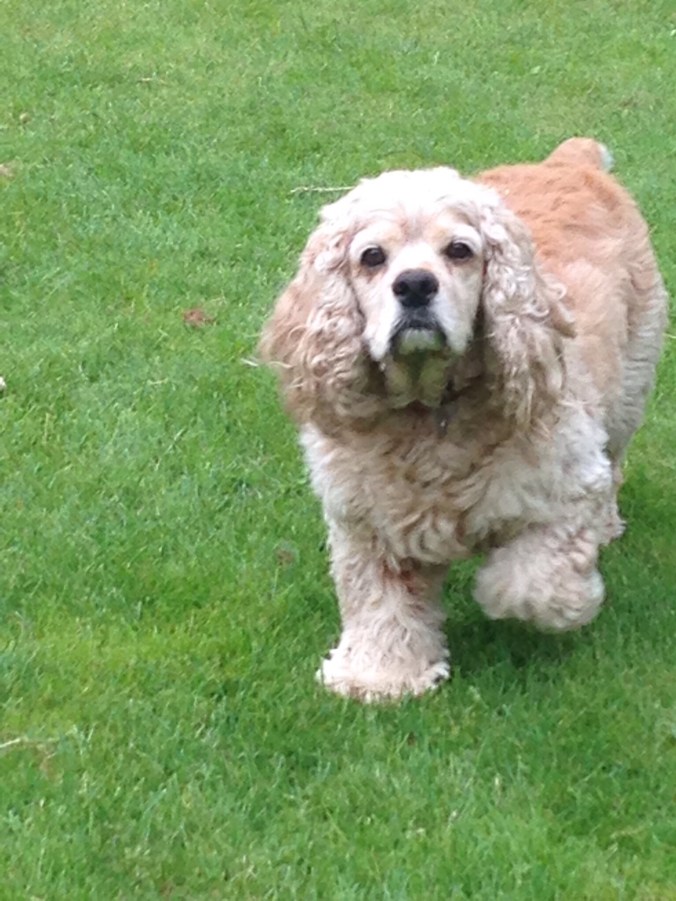 602180b7-c08f-4b47-917d-c8d239c581b5